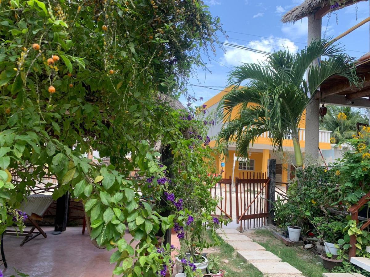 Don Panchon Y Maruxa Hotell Isla Holbox Exteriör bild
