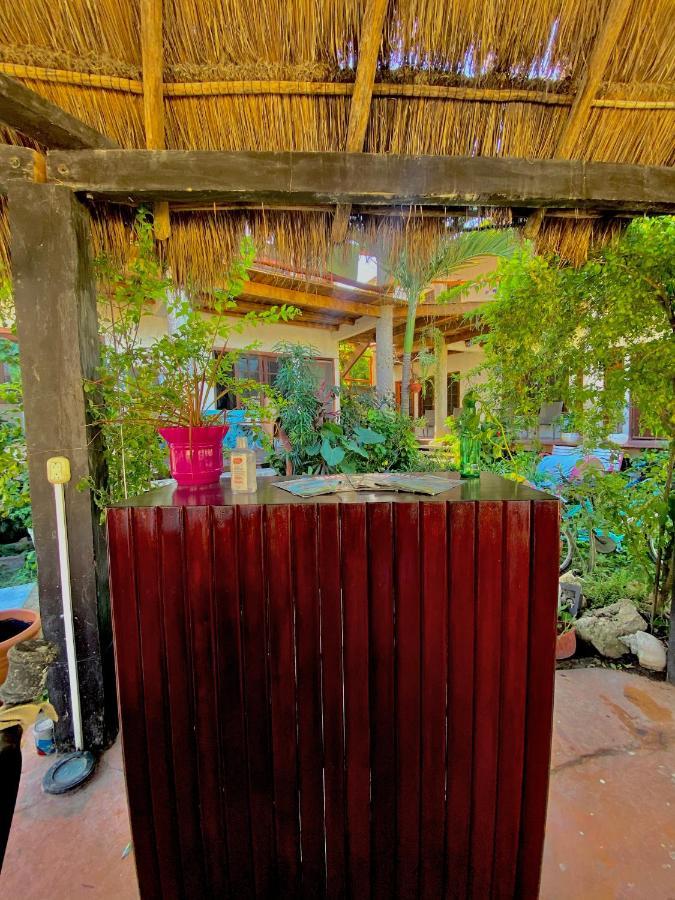 Don Panchon Y Maruxa Hotell Isla Holbox Exteriör bild